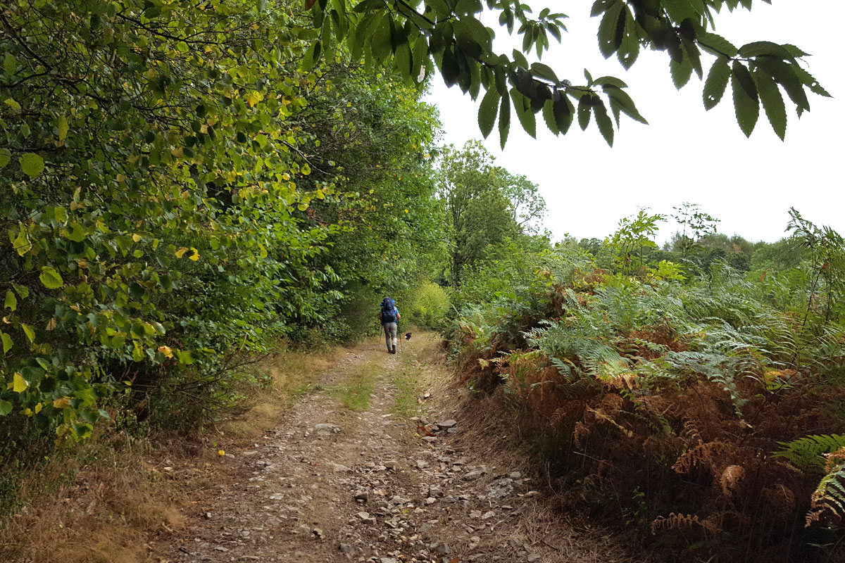 Les chemins du Morvan – Reportage sur TF1