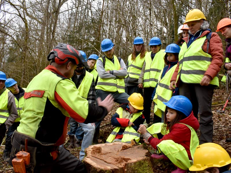 Passionné par la nature : un bûcheron du Morvan partage son métier