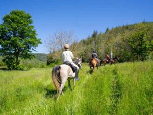 Balade à cheval dans le Morvan