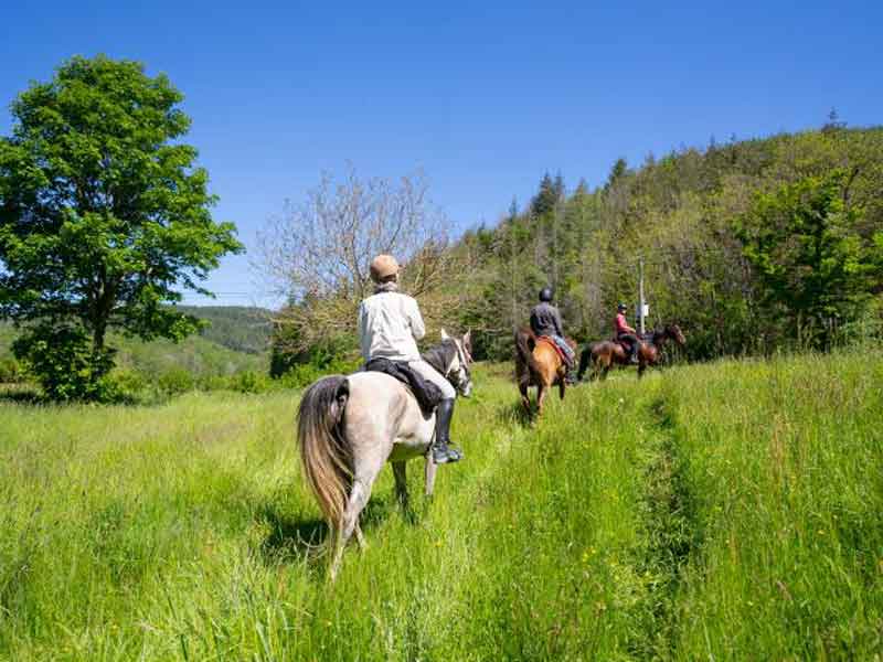 Balade à cheval dans le Morvan