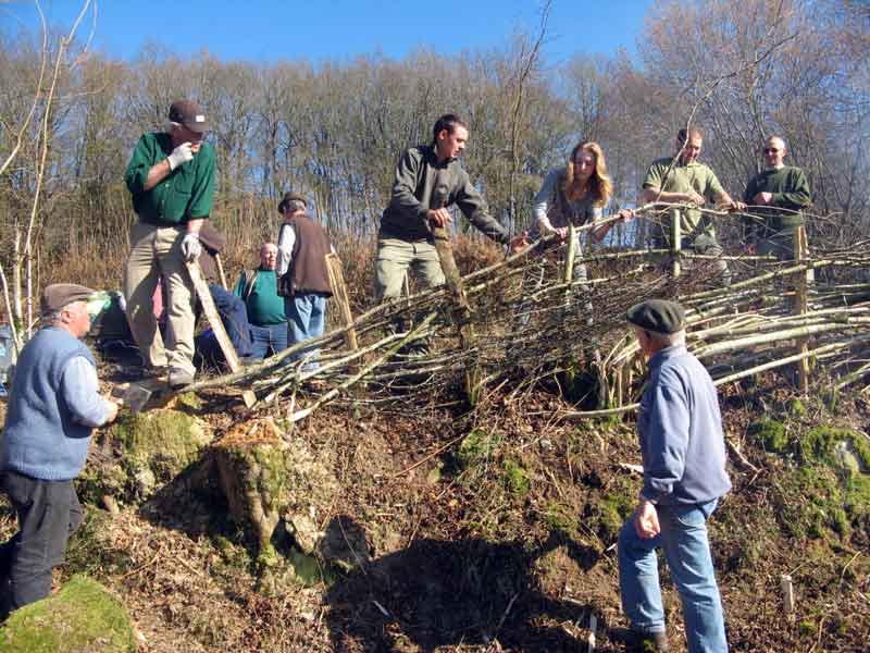 Plechie - Photo parc du Morvan