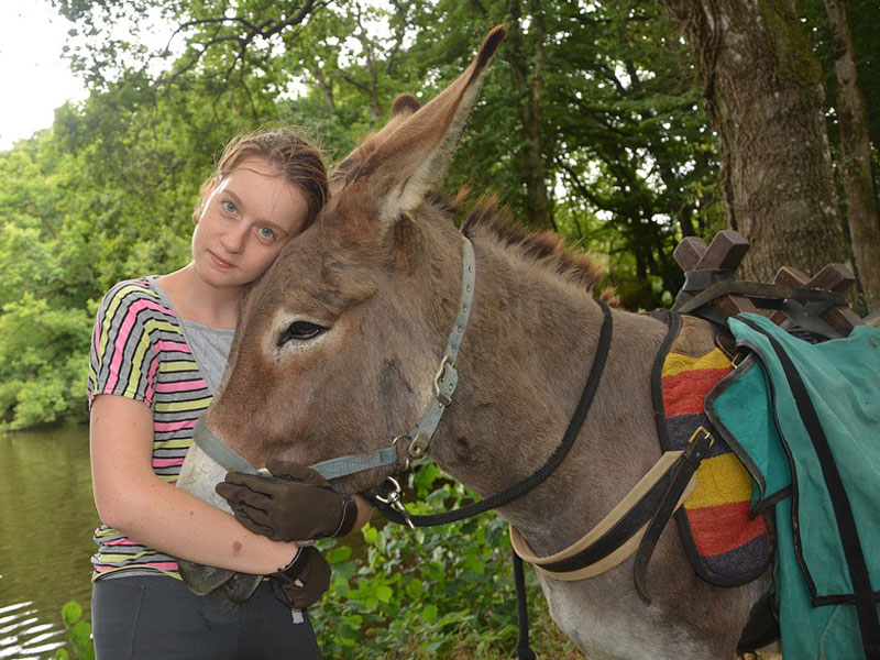 Balade avec un ane dans le Morvan