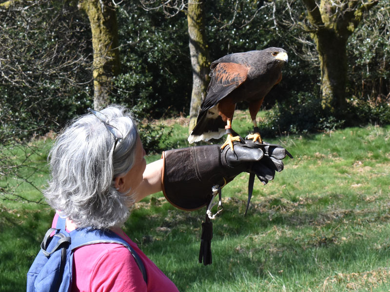 L'Echappée Morvan d'Ailes - Rando en liberté
