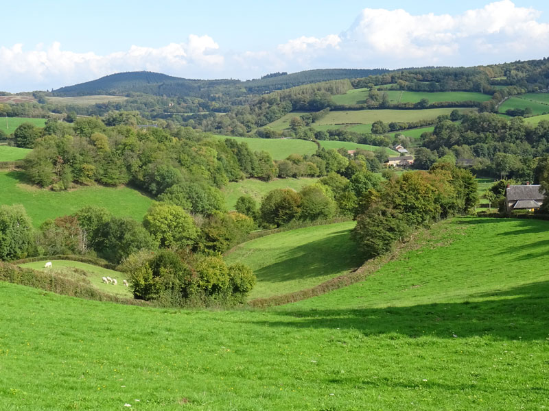 Campagne dans le Morvan
