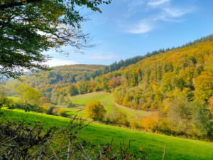 Campagne autour du Mont beuvray