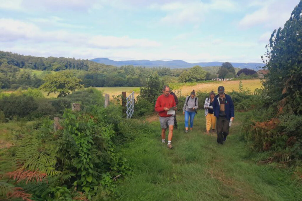 Chemin communs du Mont Beuvray