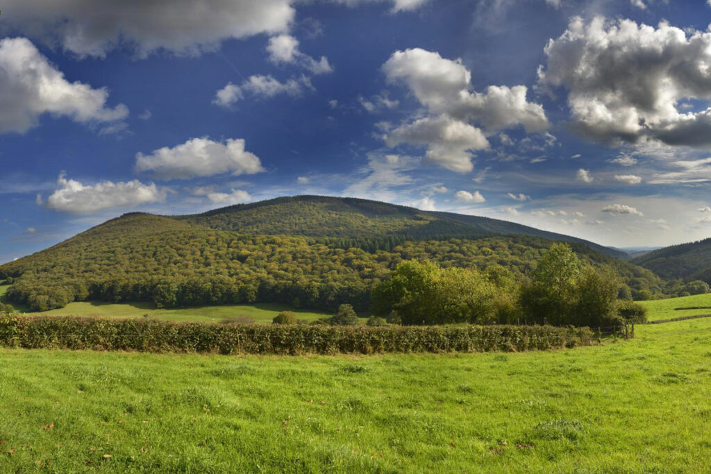 Boucle autour du Mont Beuvray