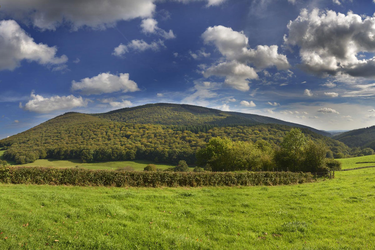Boucle depuis le Mont Beuvray
