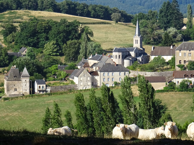 Chalets en bois dans le Morvan à Saint leger sous beuvray