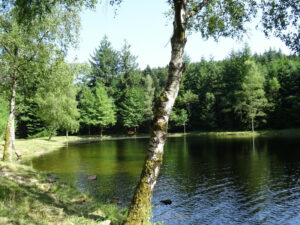 Étang de la Goulette