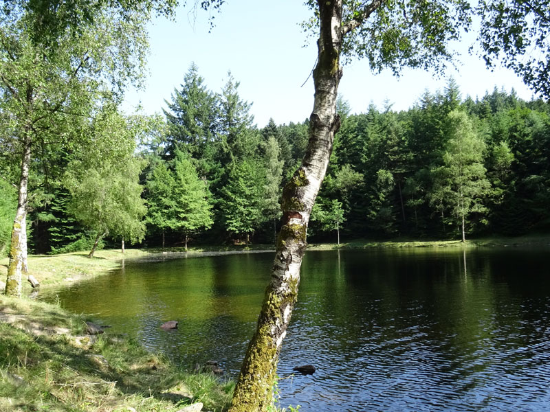 Étang de la Goulette