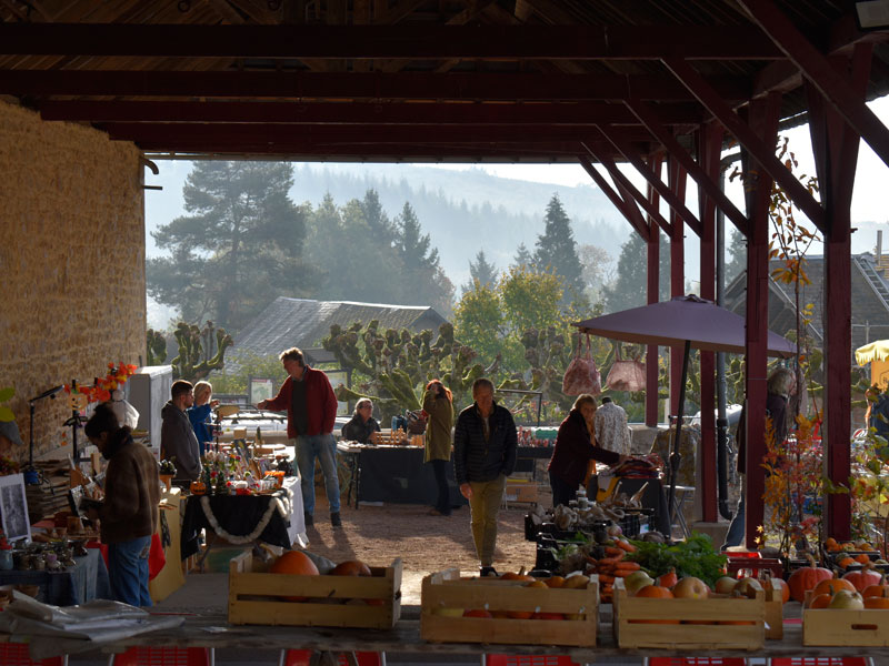 Fête de la Courge à Saint-Prix : un rendez-vous automnal haut en couleurs