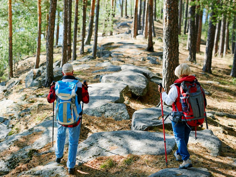 Randonnée dans Morvan - Chalets du Morvan