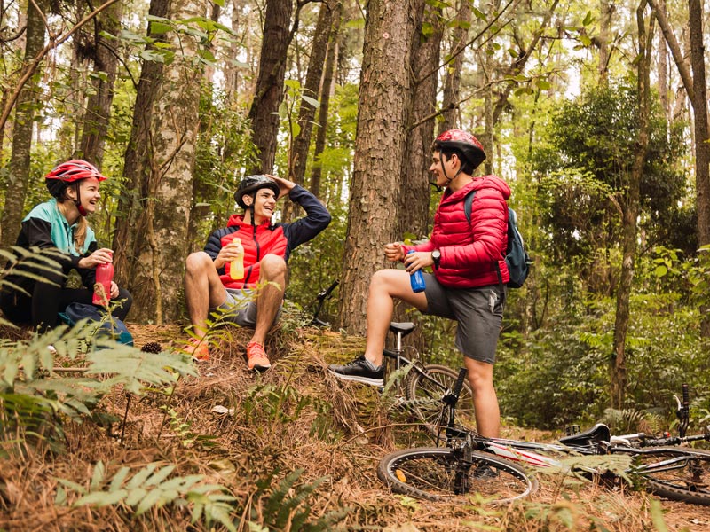 Vtt et sorties en forêt dans le morvan Vtt et sorties en forêt dans le morvan