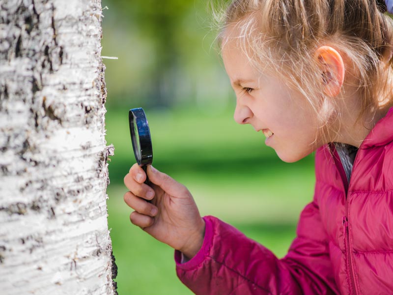 Activité enfant dans le Morvan Activité enfant dans le Morvan