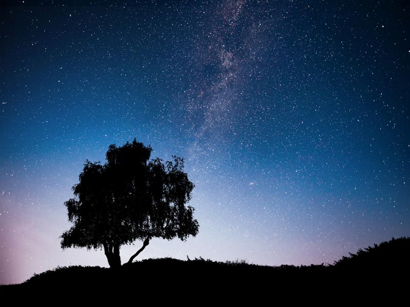 Sous les étoiles du Morvan : une nuit dans l’un des plus beaux ciels de France